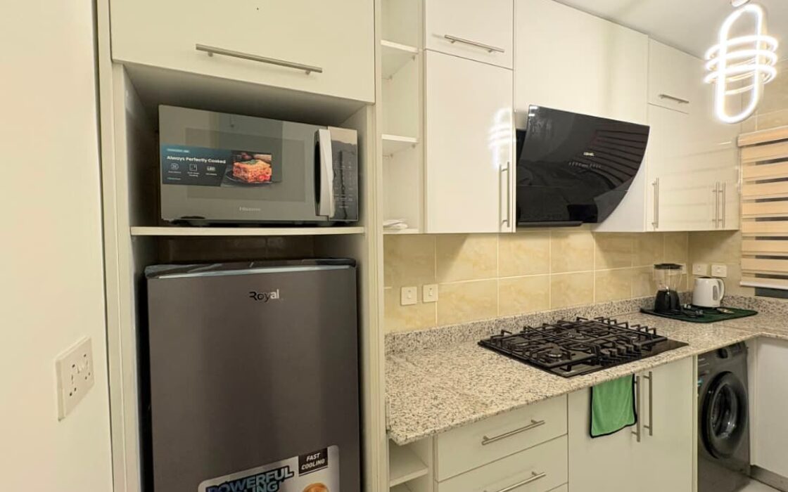 GRAY 🩶 Refined 2-bedroom  Apartment